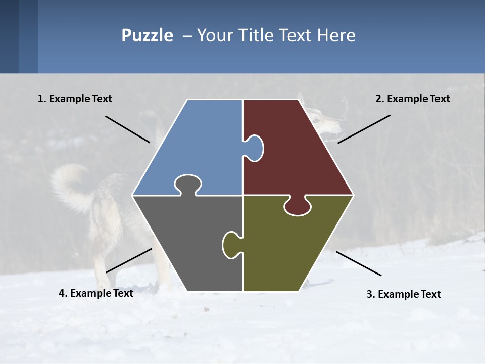 A Couple Of Dogs That Are In The Snow PowerPoint Template