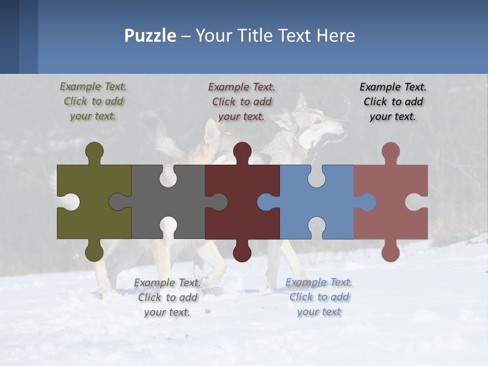 A Couple Of Dogs That Are In The Snow PowerPoint Template