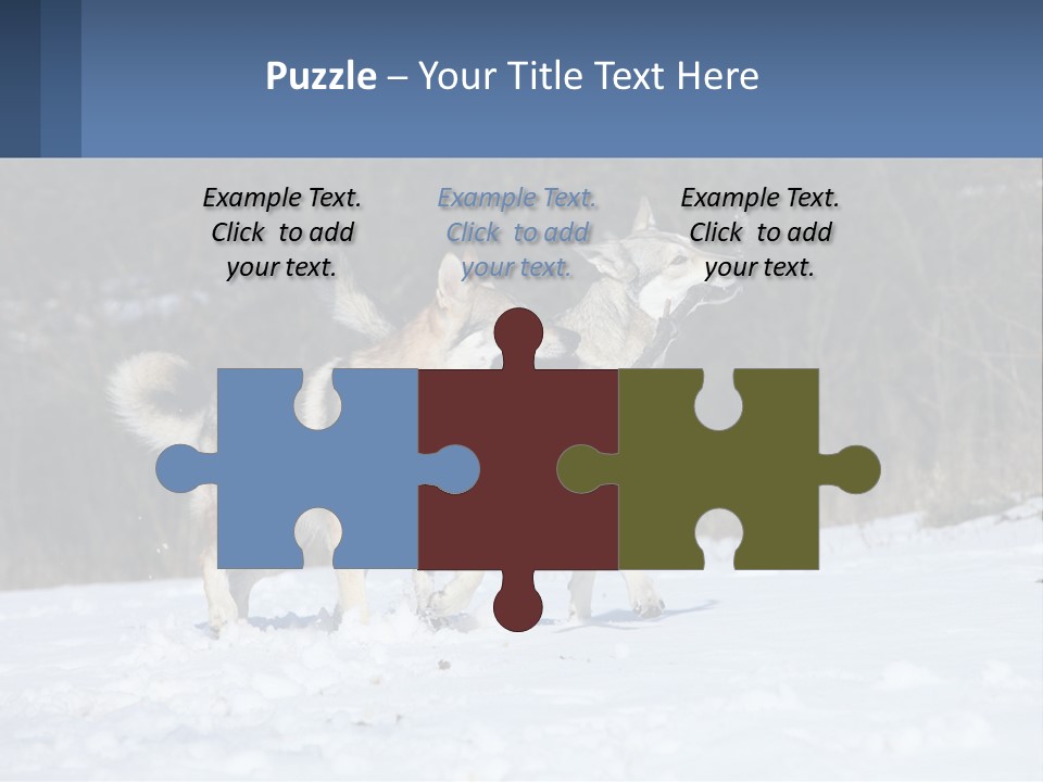 A Couple Of Dogs That Are In The Snow PowerPoint Template