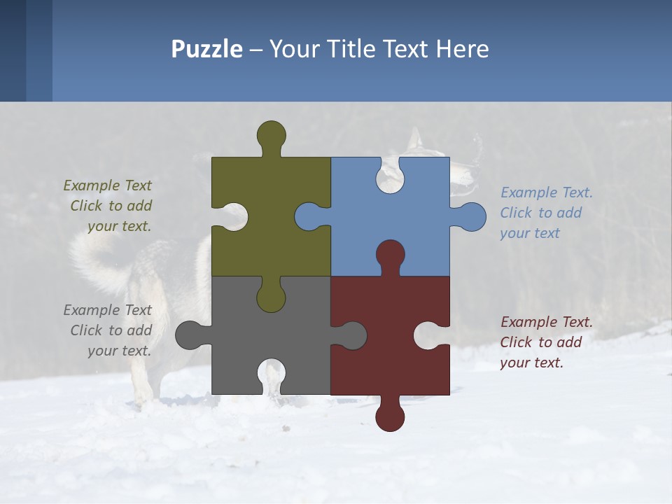 A Couple Of Dogs That Are In The Snow PowerPoint Template