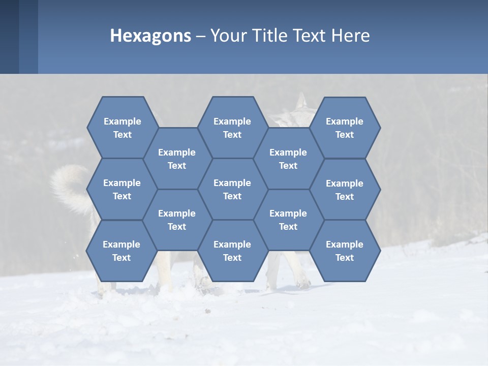 A Couple Of Dogs That Are In The Snow PowerPoint Template