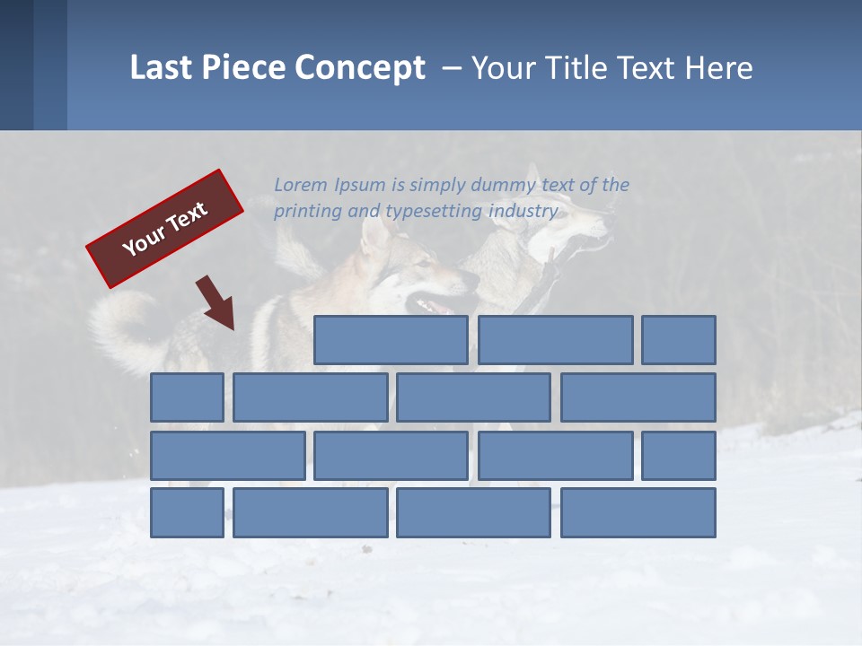 A Couple Of Dogs That Are In The Snow PowerPoint Template