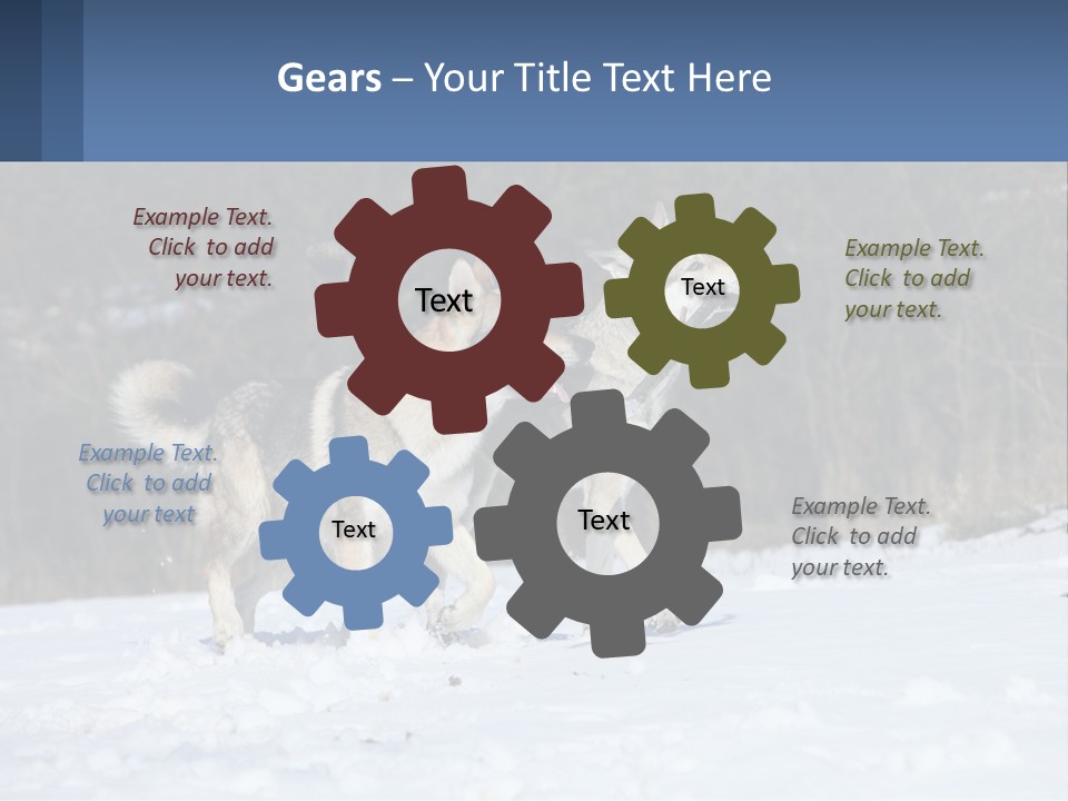 A Couple Of Dogs That Are In The Snow PowerPoint Template