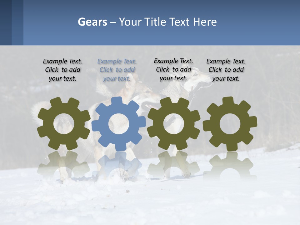 A Couple Of Dogs That Are In The Snow PowerPoint Template