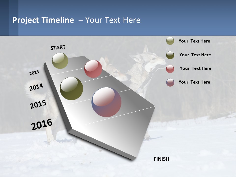 A Couple Of Dogs That Are In The Snow PowerPoint Template