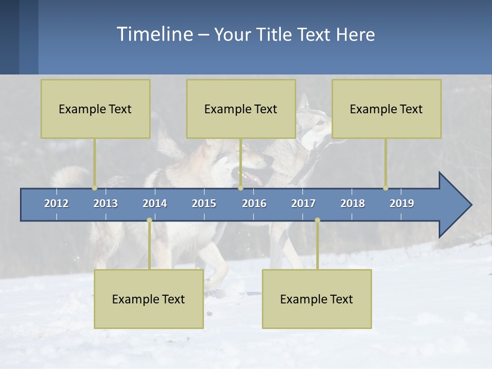 A Couple Of Dogs That Are In The Snow PowerPoint Template