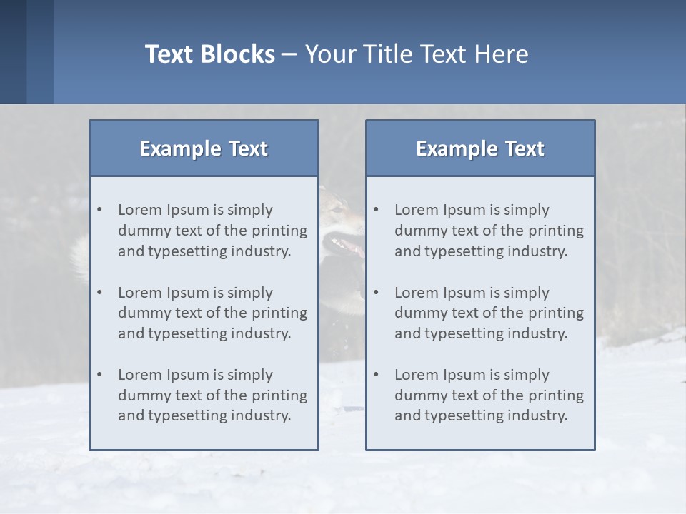 A Couple Of Dogs That Are In The Snow PowerPoint Template