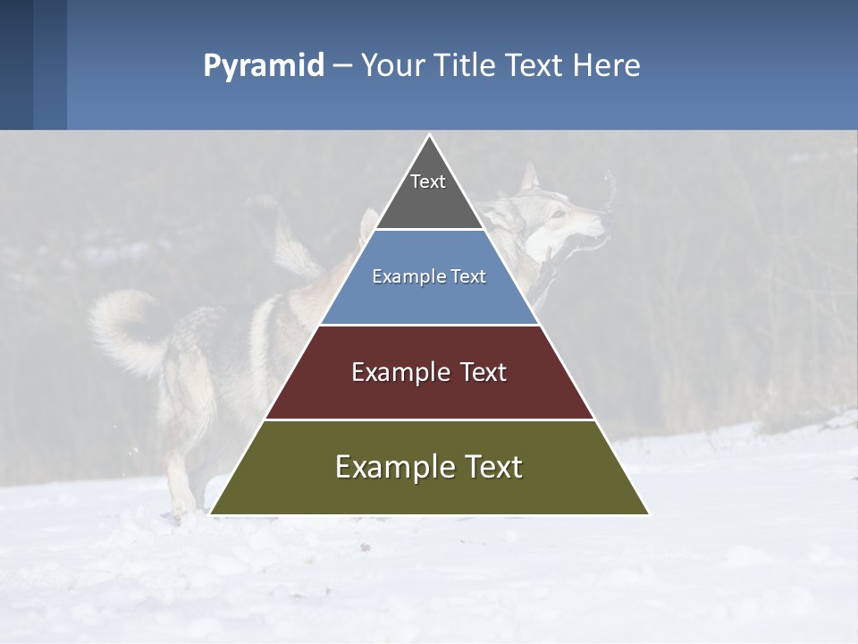 A Couple Of Dogs That Are In The Snow PowerPoint Template