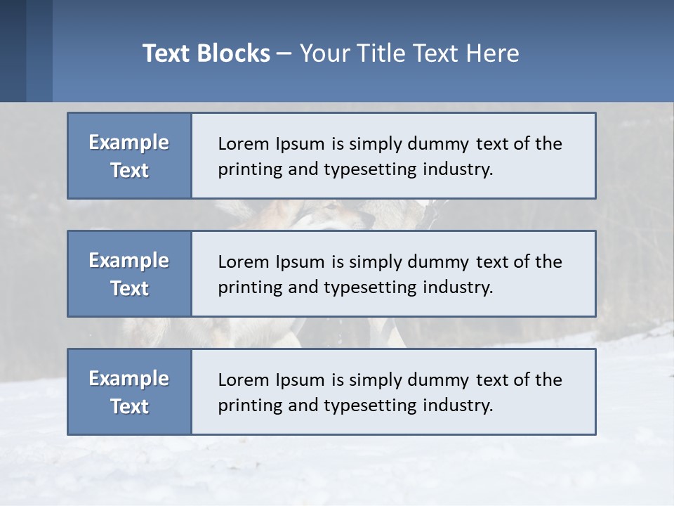 A Couple Of Dogs That Are In The Snow PowerPoint Template