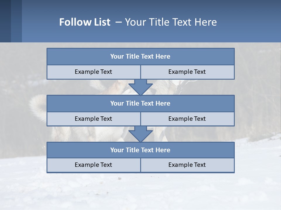 A Couple Of Dogs That Are In The Snow PowerPoint Template