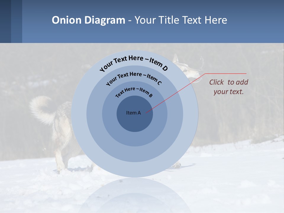 A Couple Of Dogs That Are In The Snow PowerPoint Template