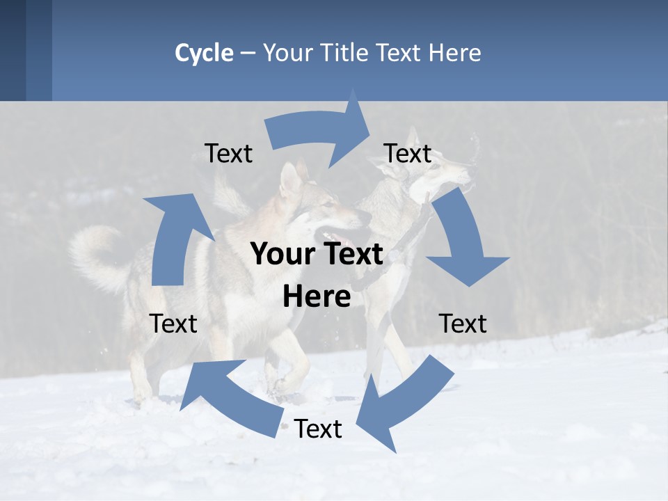 A Couple Of Dogs That Are In The Snow PowerPoint Template