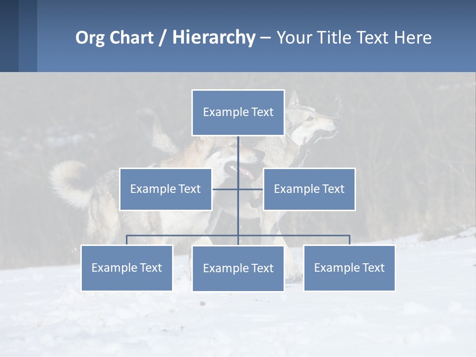 A Couple Of Dogs That Are In The Snow PowerPoint Template