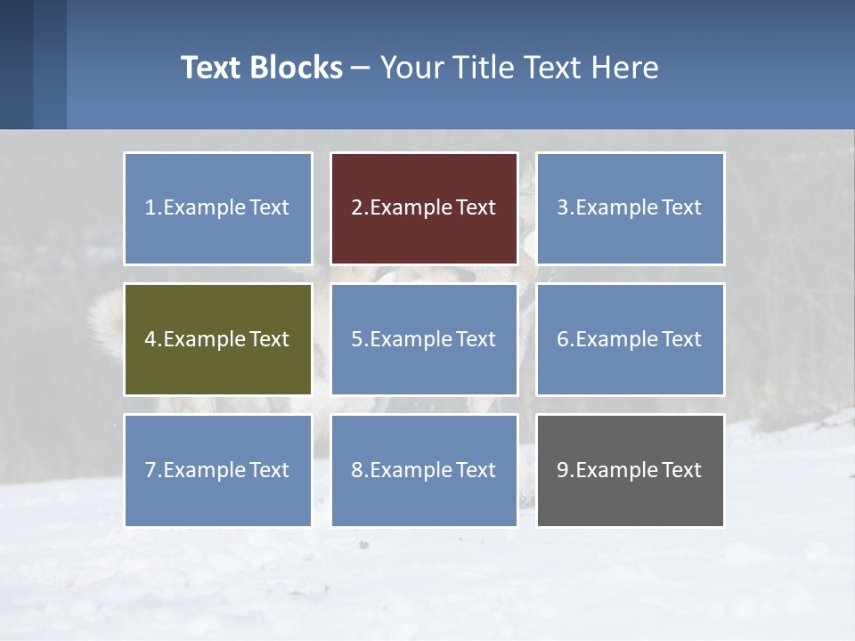 A Couple Of Dogs That Are In The Snow PowerPoint Template