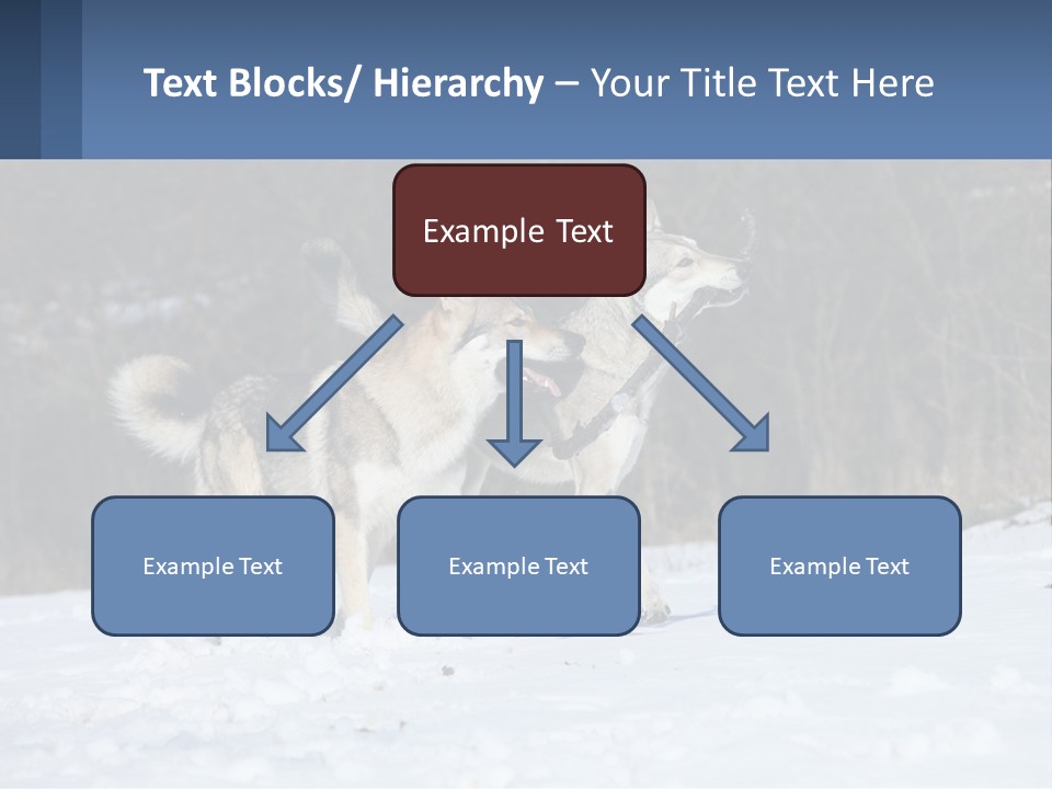 A Couple Of Dogs That Are In The Snow PowerPoint Template