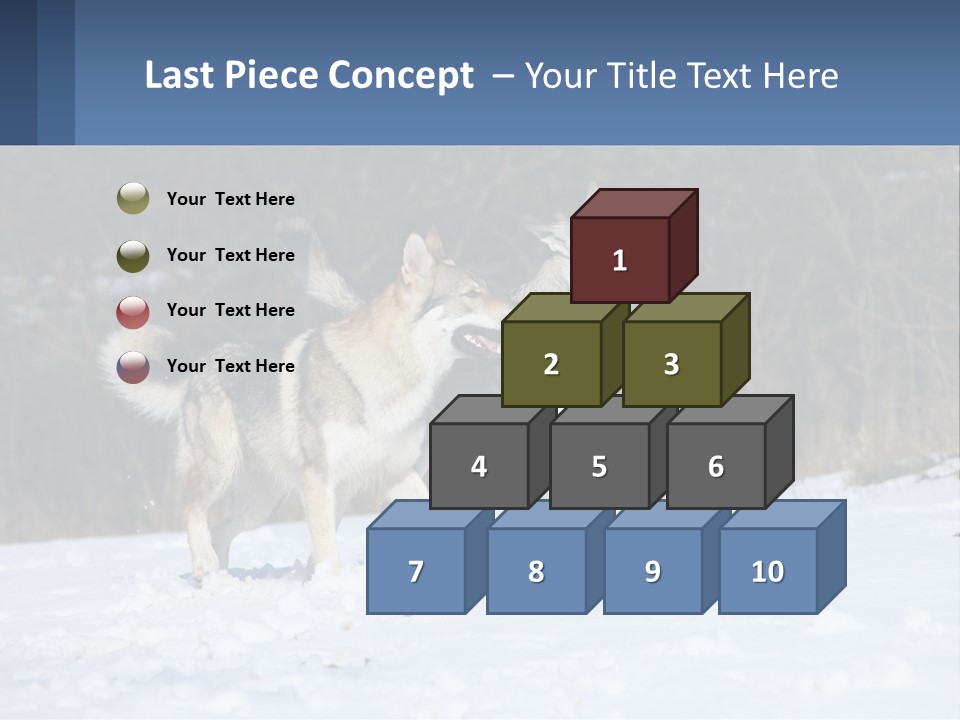 A Couple Of Dogs That Are In The Snow PowerPoint Template