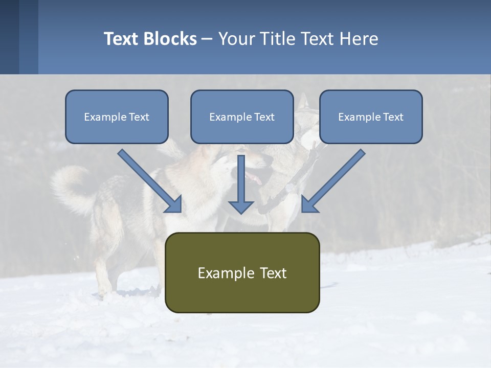 A Couple Of Dogs That Are In The Snow PowerPoint Template