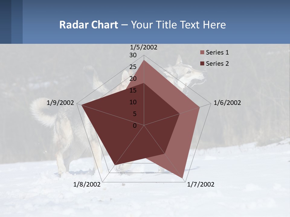 A Couple Of Dogs That Are In The Snow PowerPoint Template