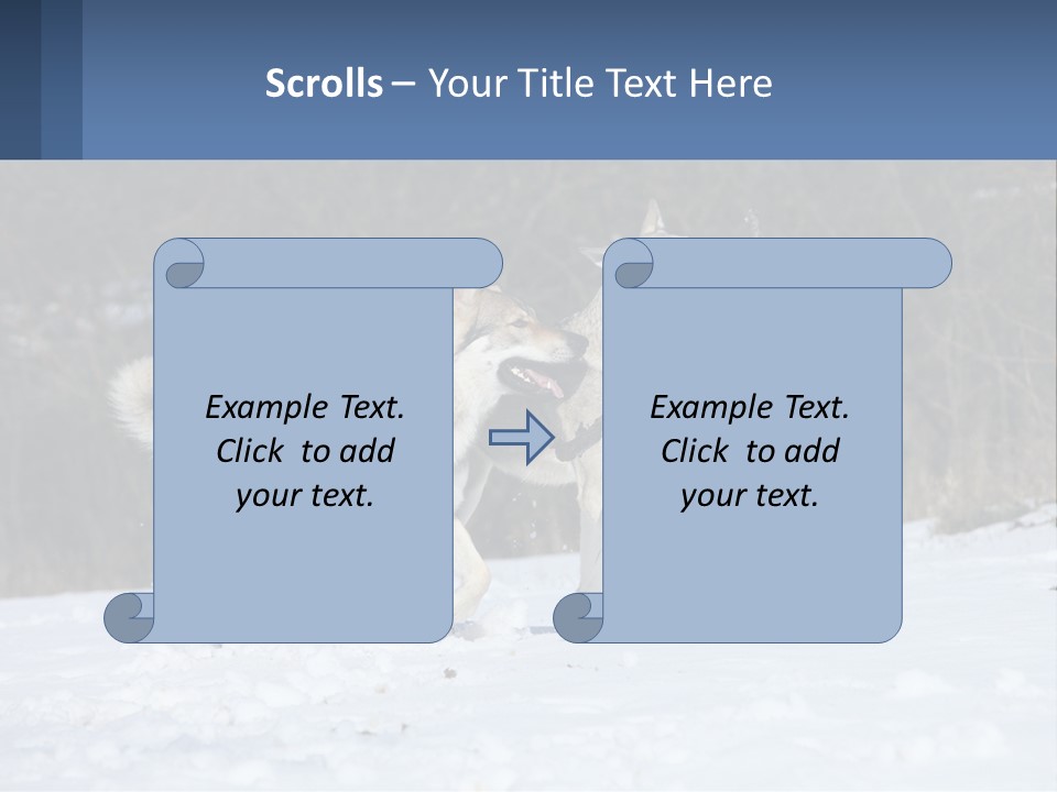 A Couple Of Dogs That Are In The Snow PowerPoint Template