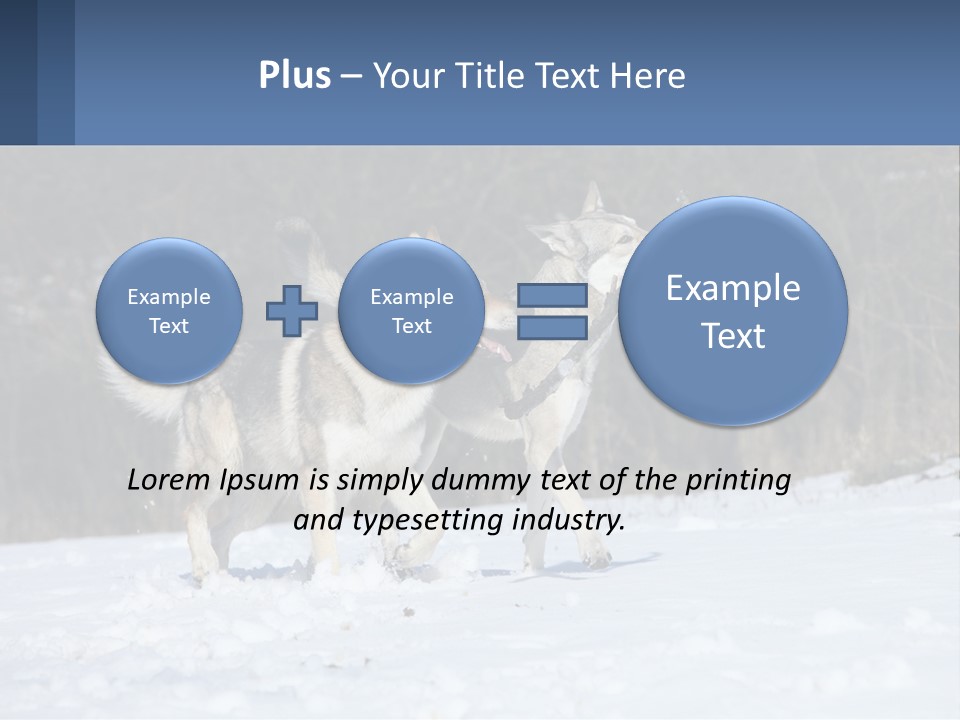 A Couple Of Dogs That Are In The Snow PowerPoint Template