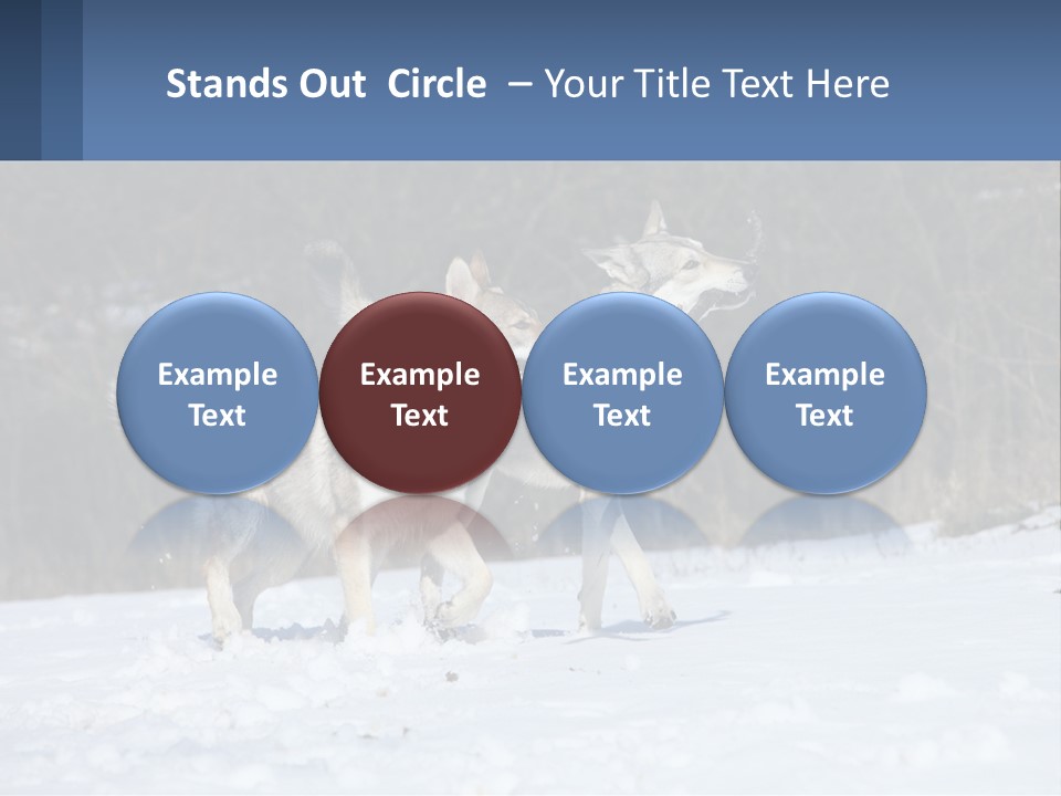 A Couple Of Dogs That Are In The Snow PowerPoint Template