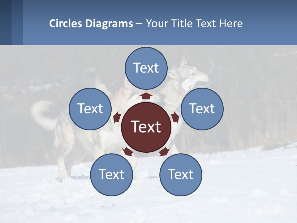 A Couple Of Dogs That Are In The Snow PowerPoint Template