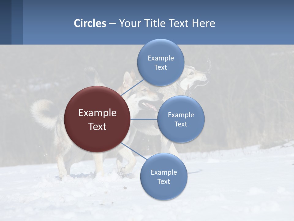 A Couple Of Dogs That Are In The Snow PowerPoint Template