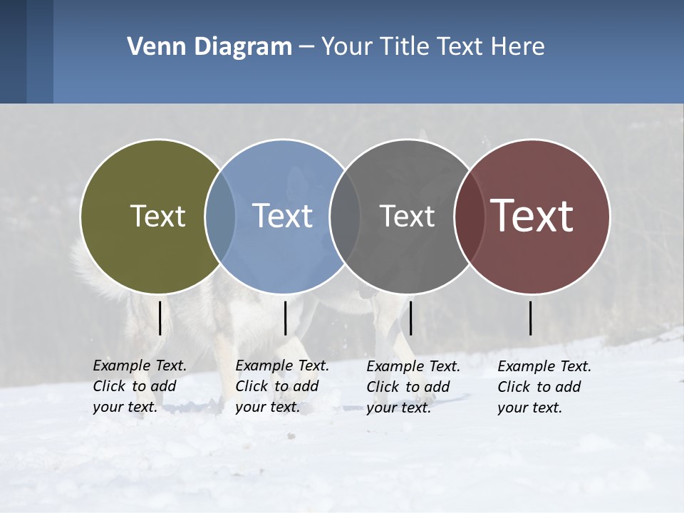 A Couple Of Dogs That Are In The Snow PowerPoint Template