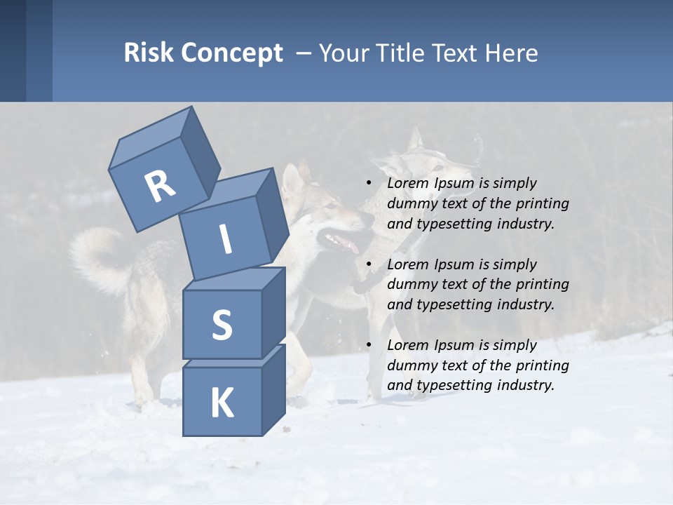 A Couple Of Dogs That Are In The Snow PowerPoint Template