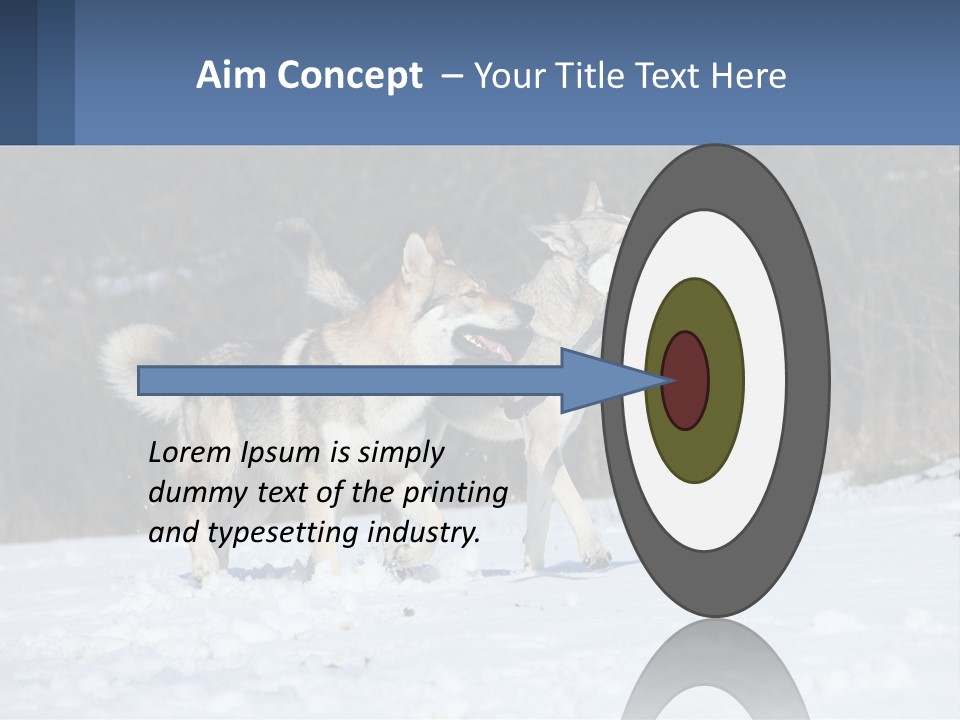 A Couple Of Dogs That Are In The Snow PowerPoint Template