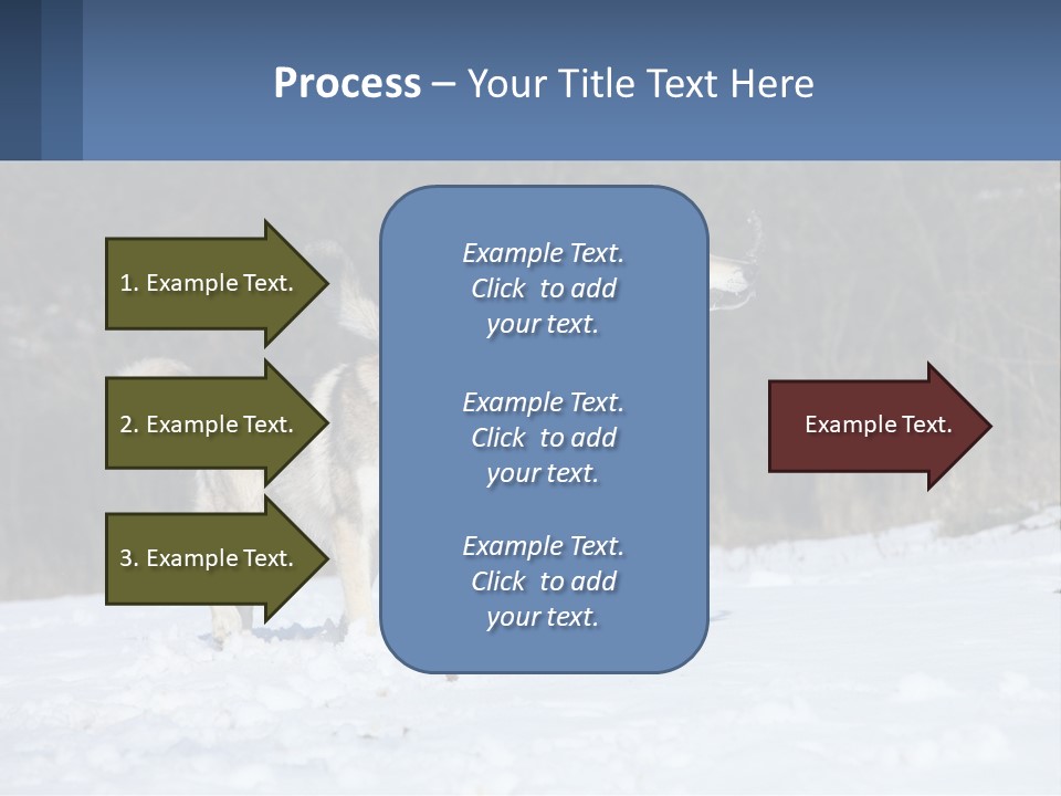 A Couple Of Dogs That Are In The Snow PowerPoint Template