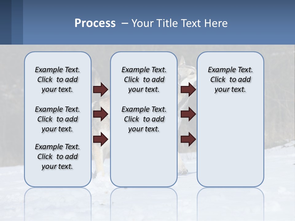 A Couple Of Dogs That Are In The Snow PowerPoint Template