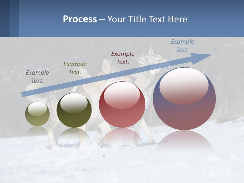 A Couple Of Dogs That Are In The Snow PowerPoint Template