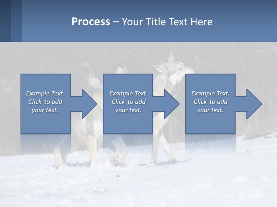 A Couple Of Dogs That Are In The Snow PowerPoint Template