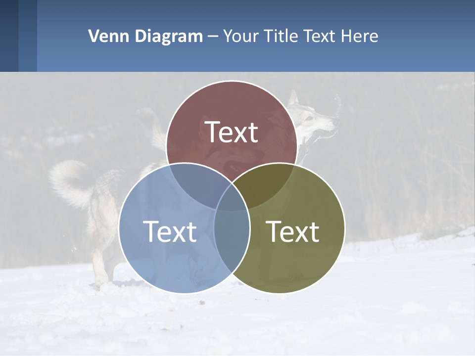 A Couple Of Dogs That Are In The Snow PowerPoint Template