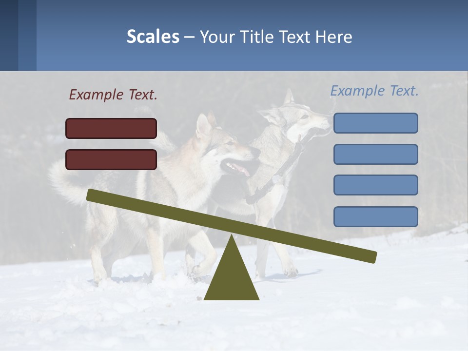 A Couple Of Dogs That Are In The Snow PowerPoint Template