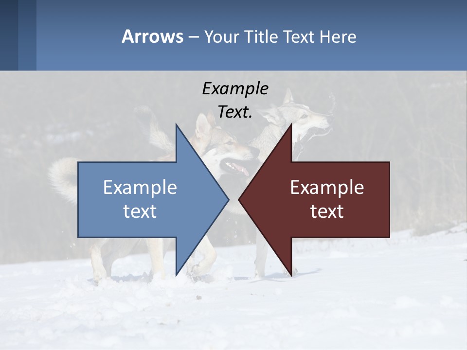 A Couple Of Dogs That Are In The Snow PowerPoint Template