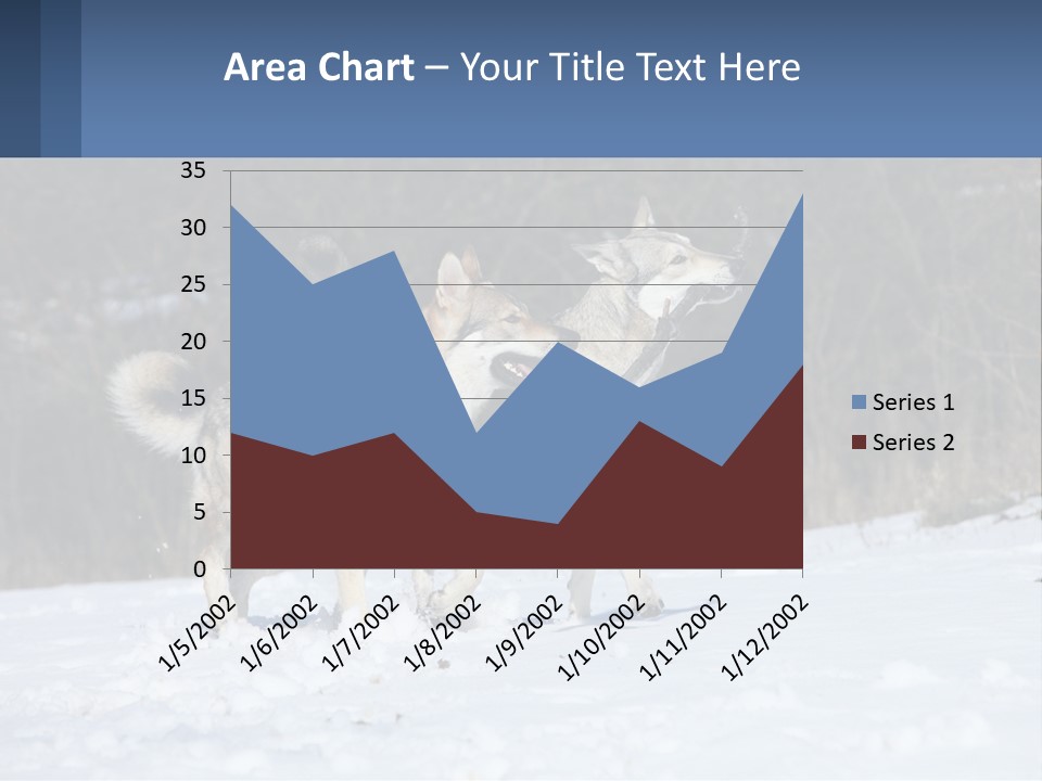 A Couple Of Dogs That Are In The Snow PowerPoint Template