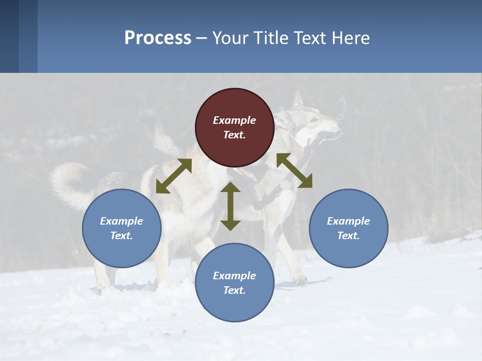 A Couple Of Dogs That Are In The Snow PowerPoint Template
