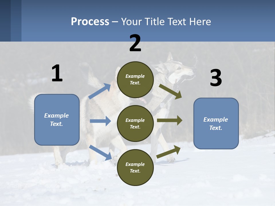 A Couple Of Dogs That Are In The Snow PowerPoint Template