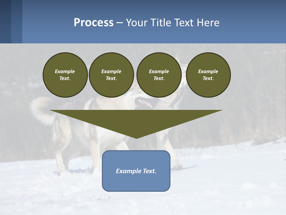 A Couple Of Dogs That Are In The Snow PowerPoint Template