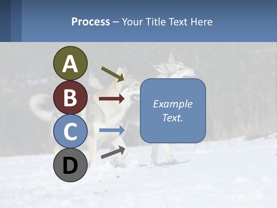 A Couple Of Dogs That Are In The Snow PowerPoint Template