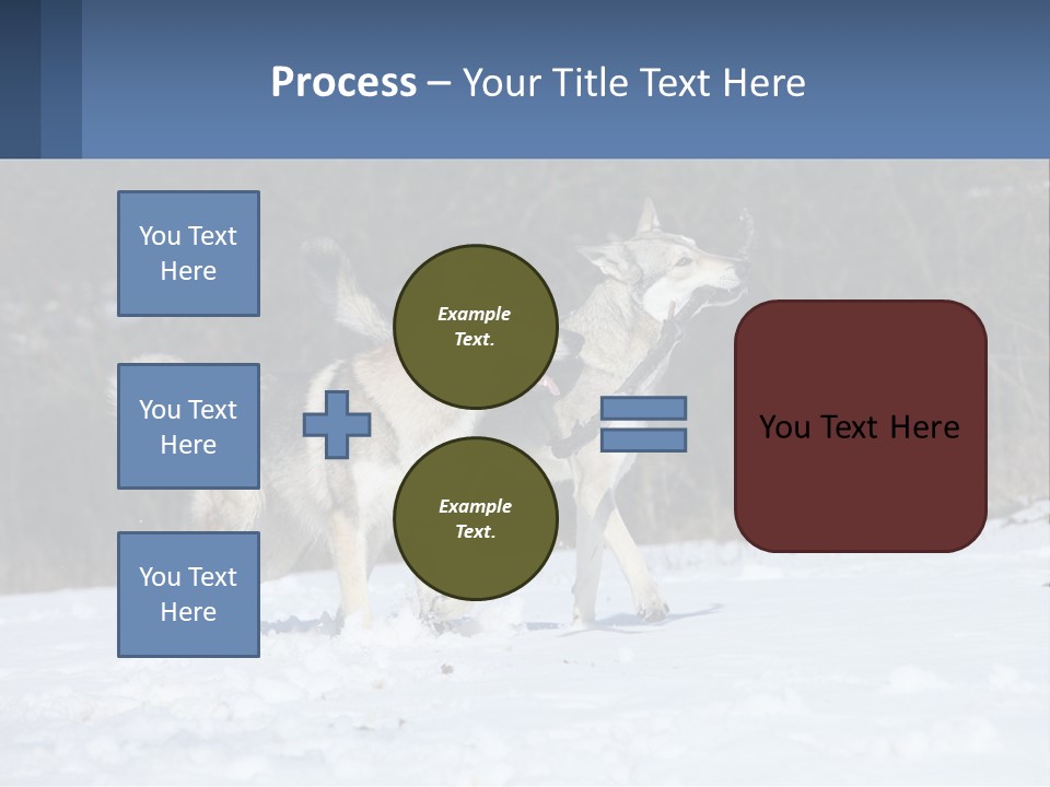 A Couple Of Dogs That Are In The Snow PowerPoint Template