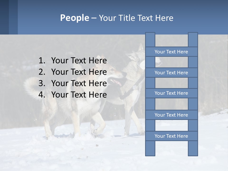 A Couple Of Dogs That Are In The Snow PowerPoint Template