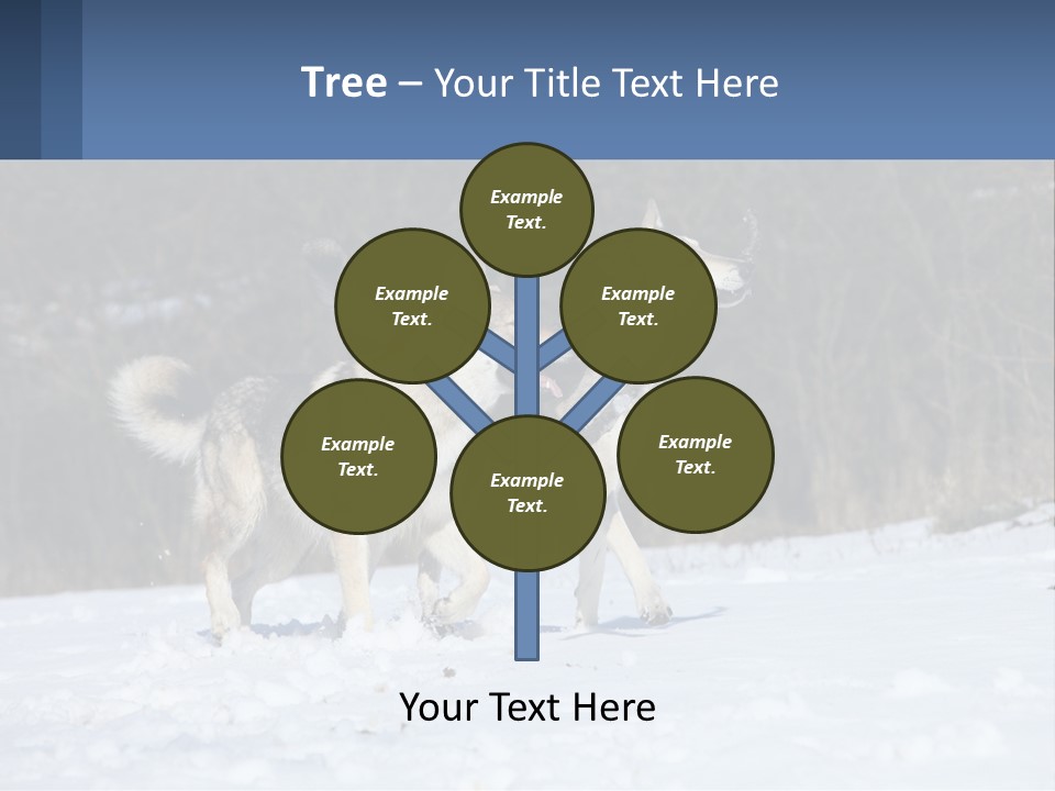 A Couple Of Dogs That Are In The Snow PowerPoint Template