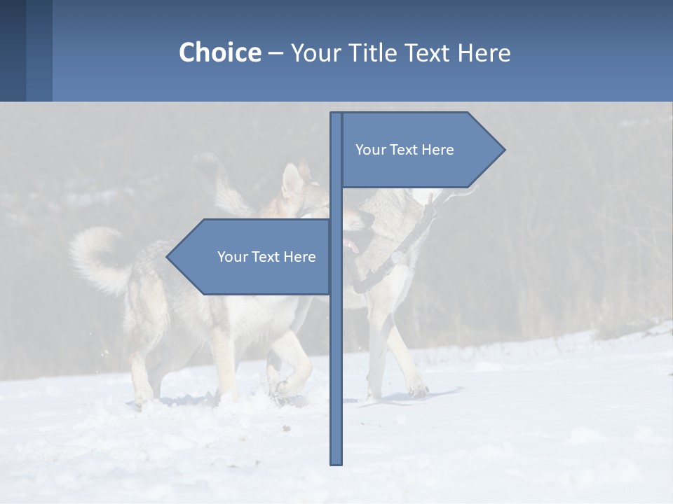 A Couple Of Dogs That Are In The Snow PowerPoint Template