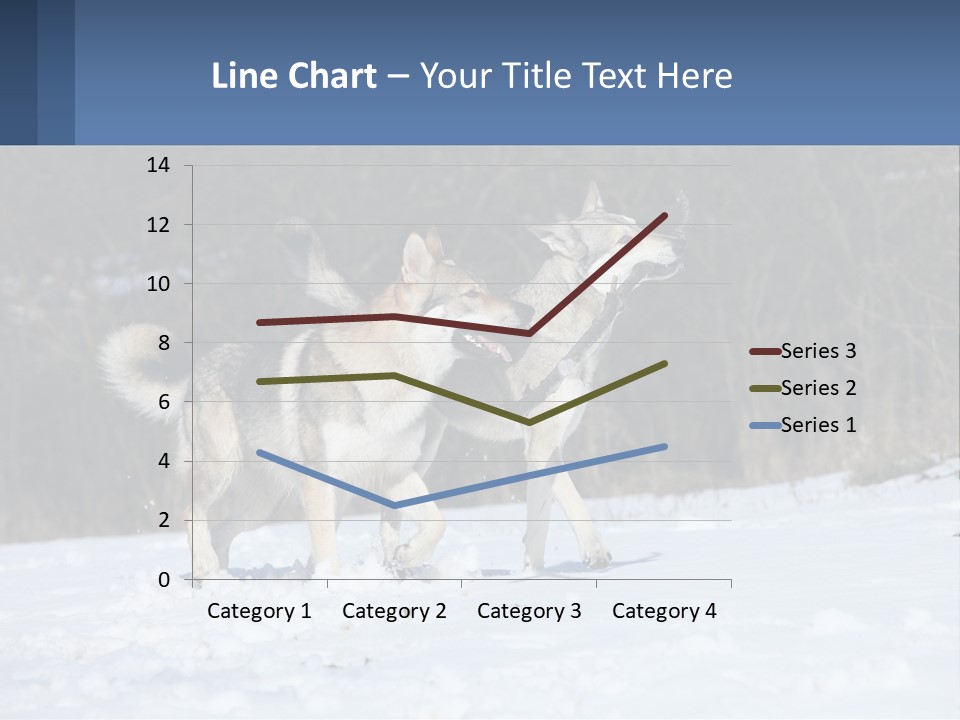 A Couple Of Dogs That Are In The Snow PowerPoint Template