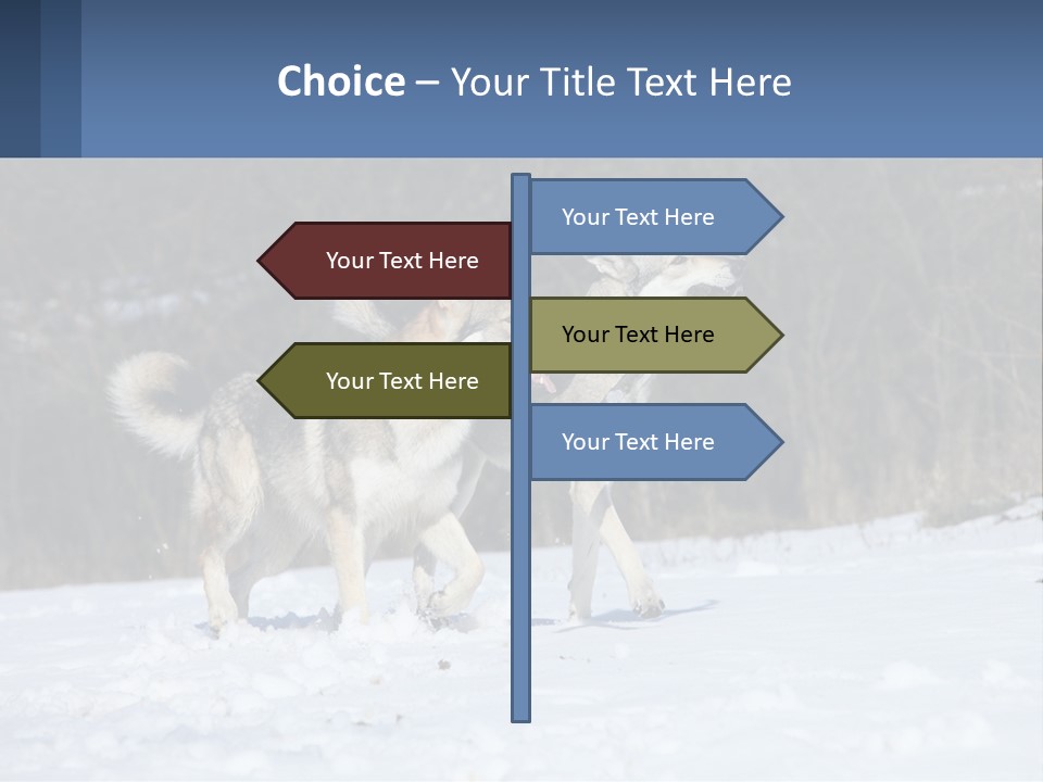 A Couple Of Dogs That Are In The Snow PowerPoint Template