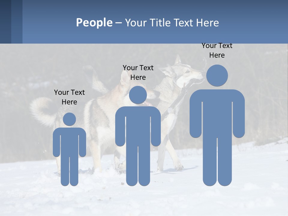 A Couple Of Dogs That Are In The Snow PowerPoint Template