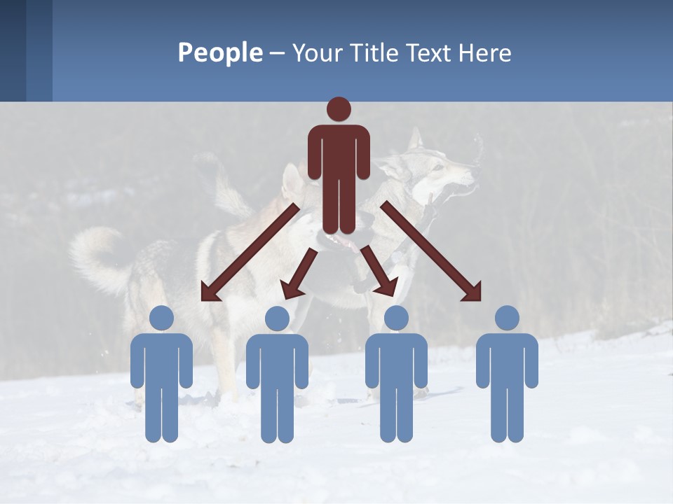 A Couple Of Dogs That Are In The Snow PowerPoint Template
